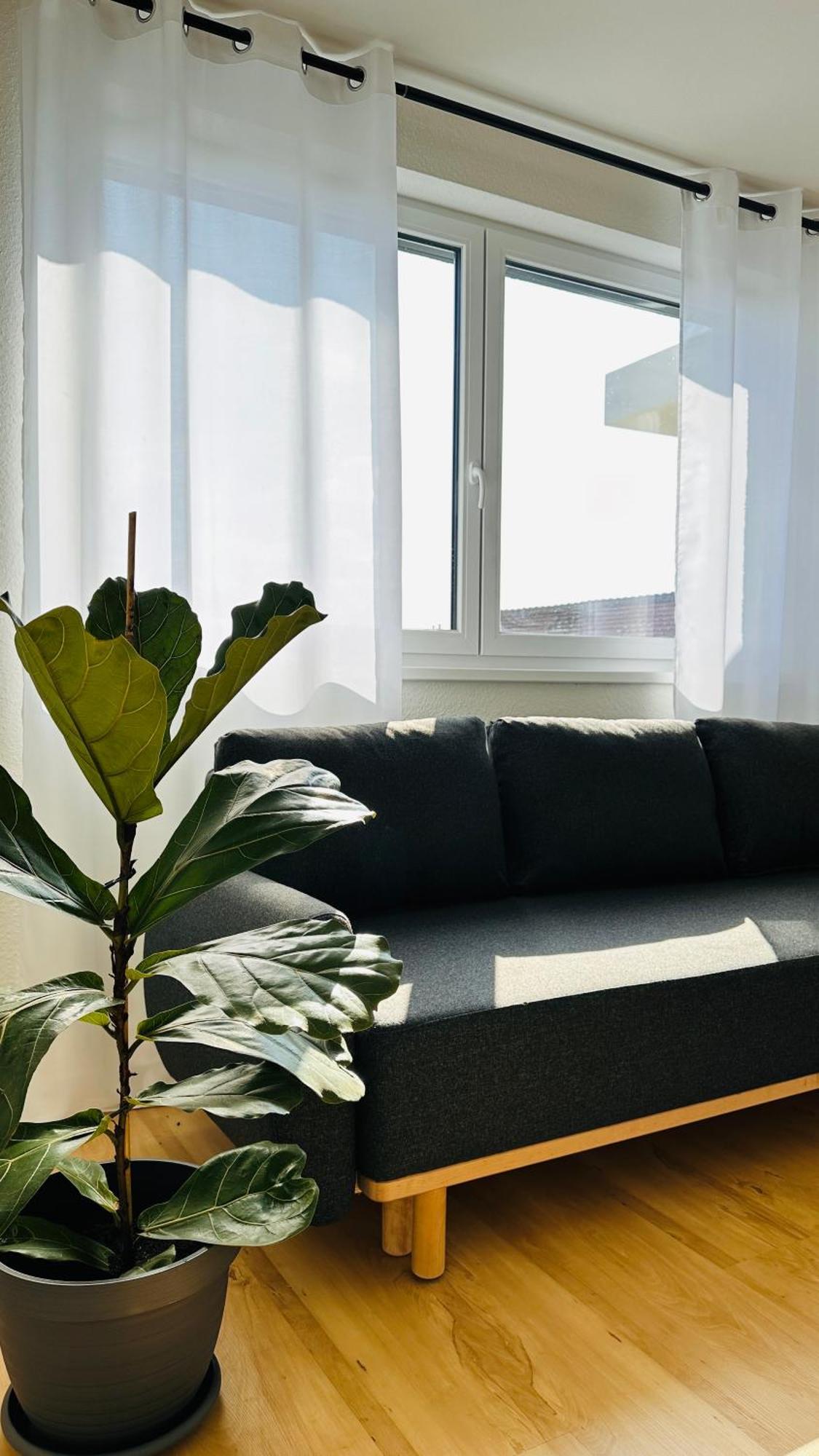 Amao-Sepia I 86Qm I King-Size Beds I Netflix I Privat Balcony I Free Parking I Near Europapark Apartment Райнхаузен Екстериор снимка